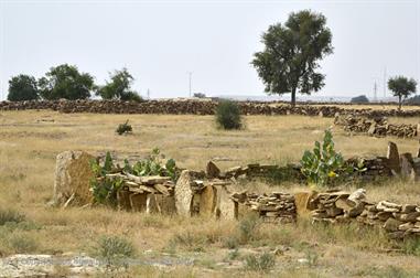 01 PKW-Reise_Jaisalmer-Kuri_DSC3320_b_H600